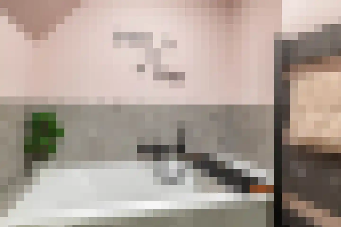Dieklaan 35 Middelharnis thumbnail 14