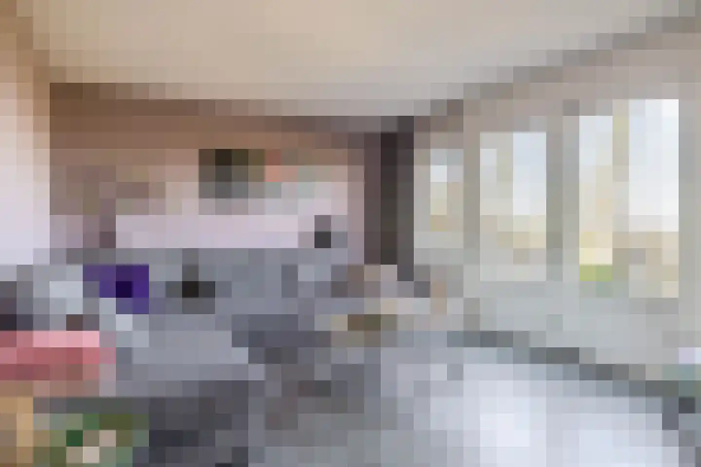 Dieklaan 35 Middelharnis thumbnail 16