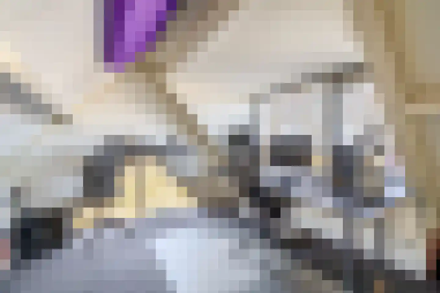 Dieklaan 35 Middelharnis thumbnail 23