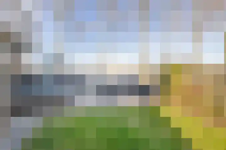 Dieklaan 35 Middelharnis thumbnail 24