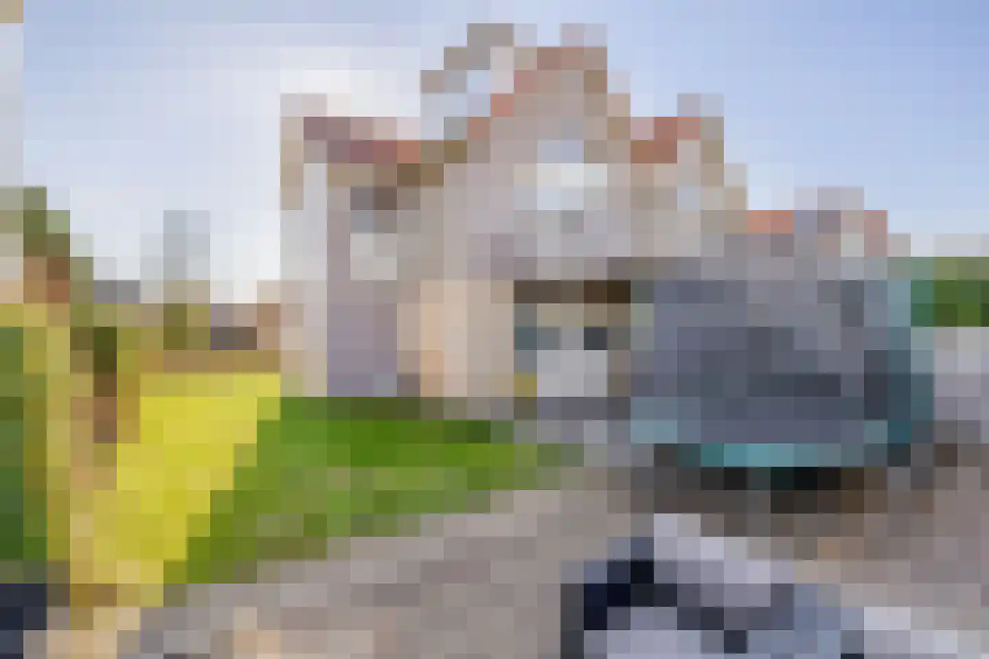 Dieklaan 35 Middelharnis thumbnail 25