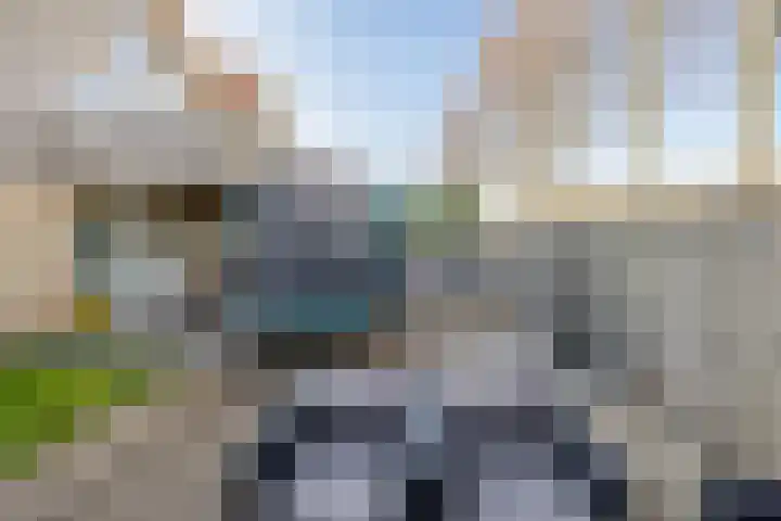Dieklaan 35 Middelharnis thumbnail 26
