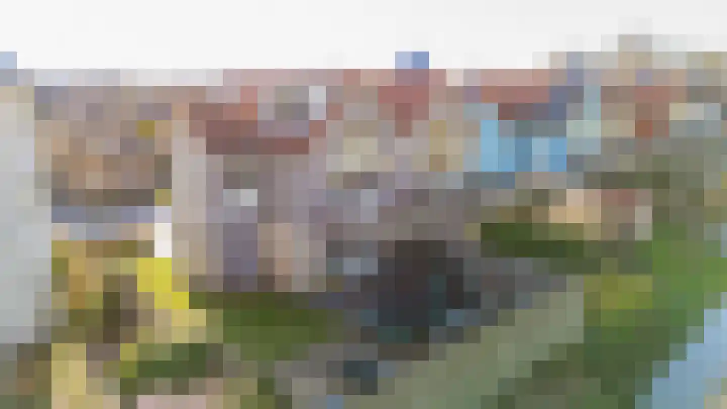 Dieklaan 35 Middelharnis thumbnail 30