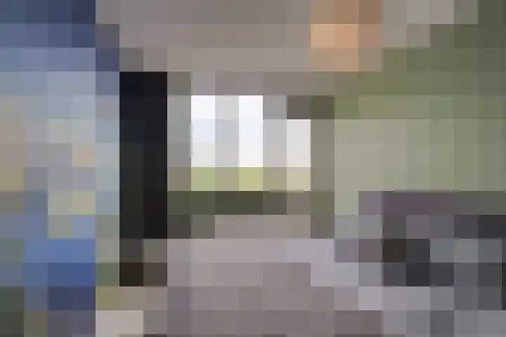 Dieklaan 35 Middelharnis thumbnail 32