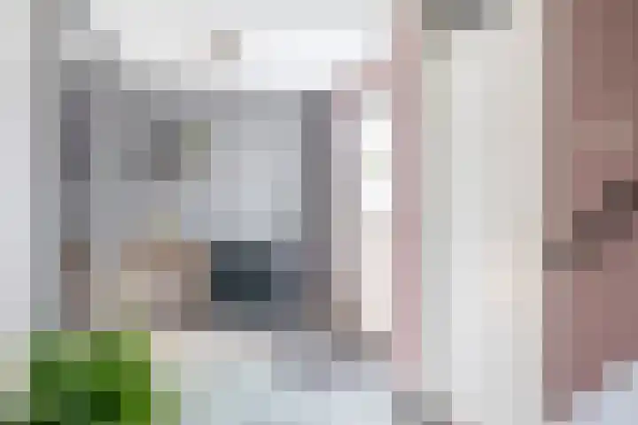 Dieklaan 35 Middelharnis thumbnail 7