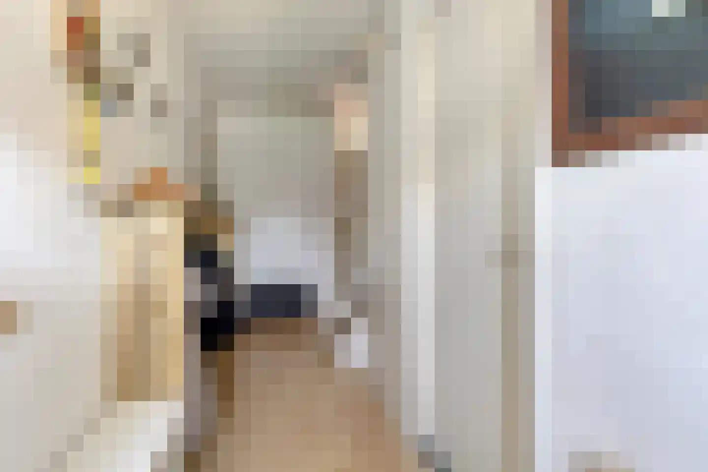 Dieklaan 7 Middelharnis thumbnail 10