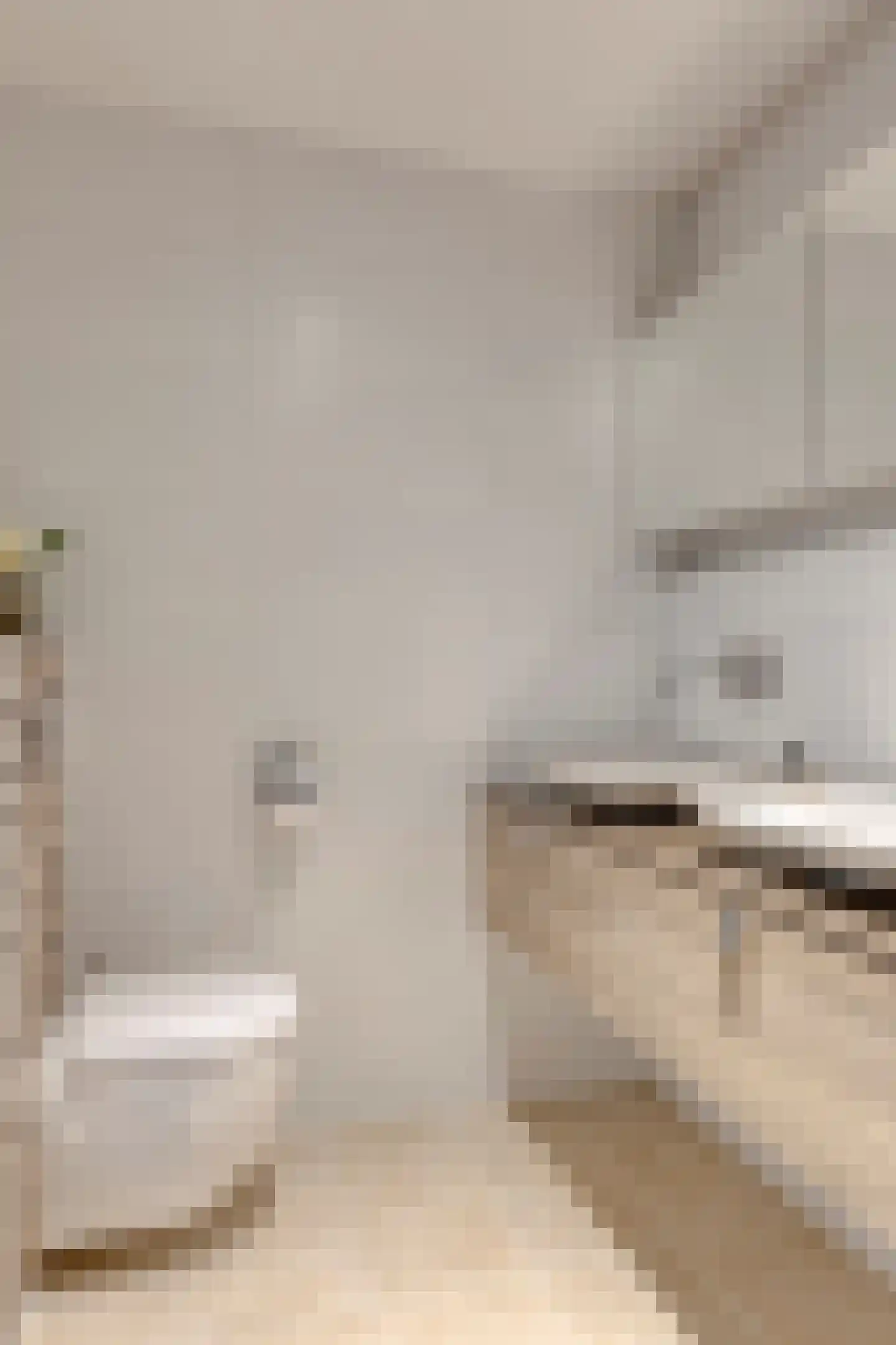 Dieklaan 7 Middelharnis thumbnail 13