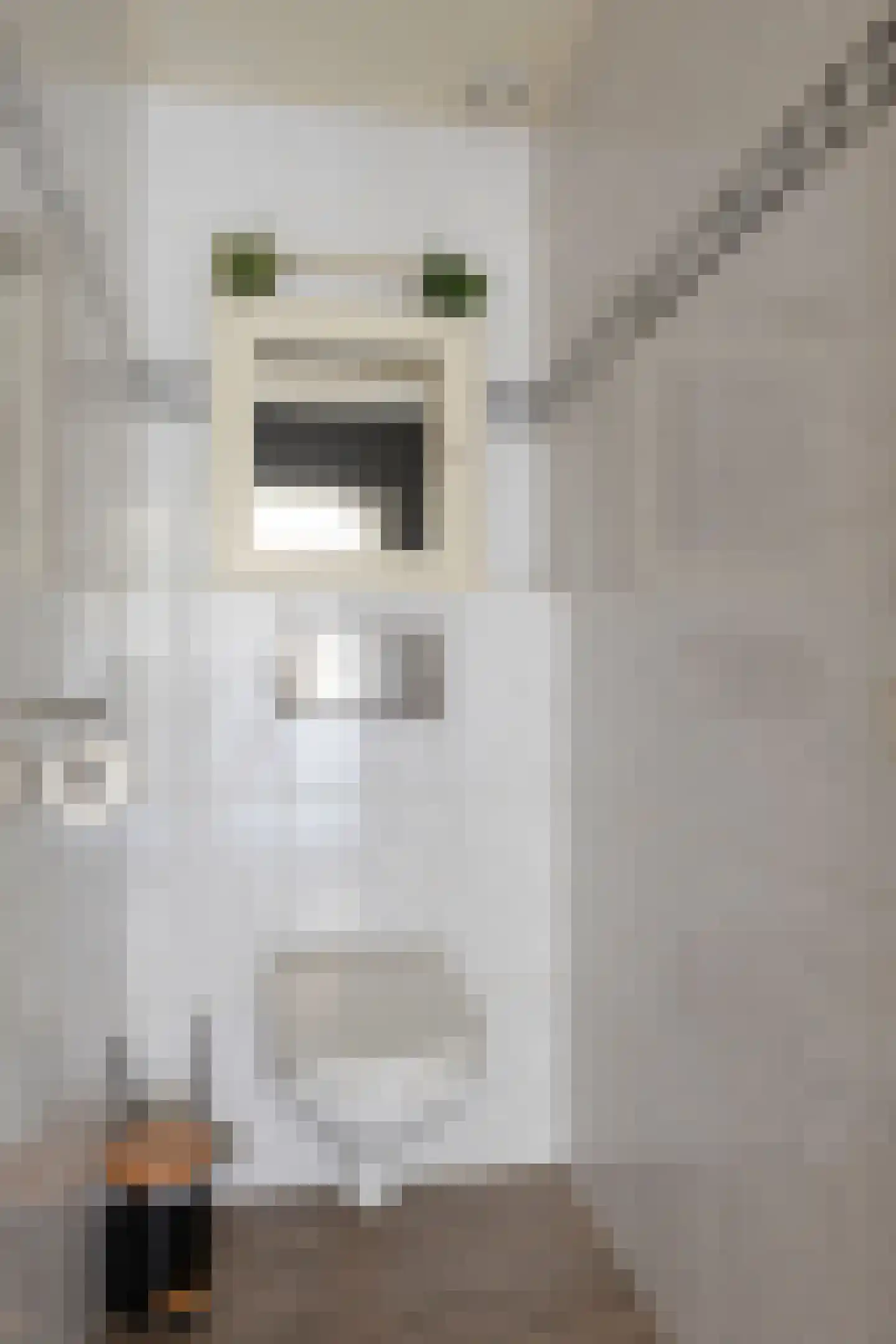Dieklaan 7 Middelharnis thumbnail 18