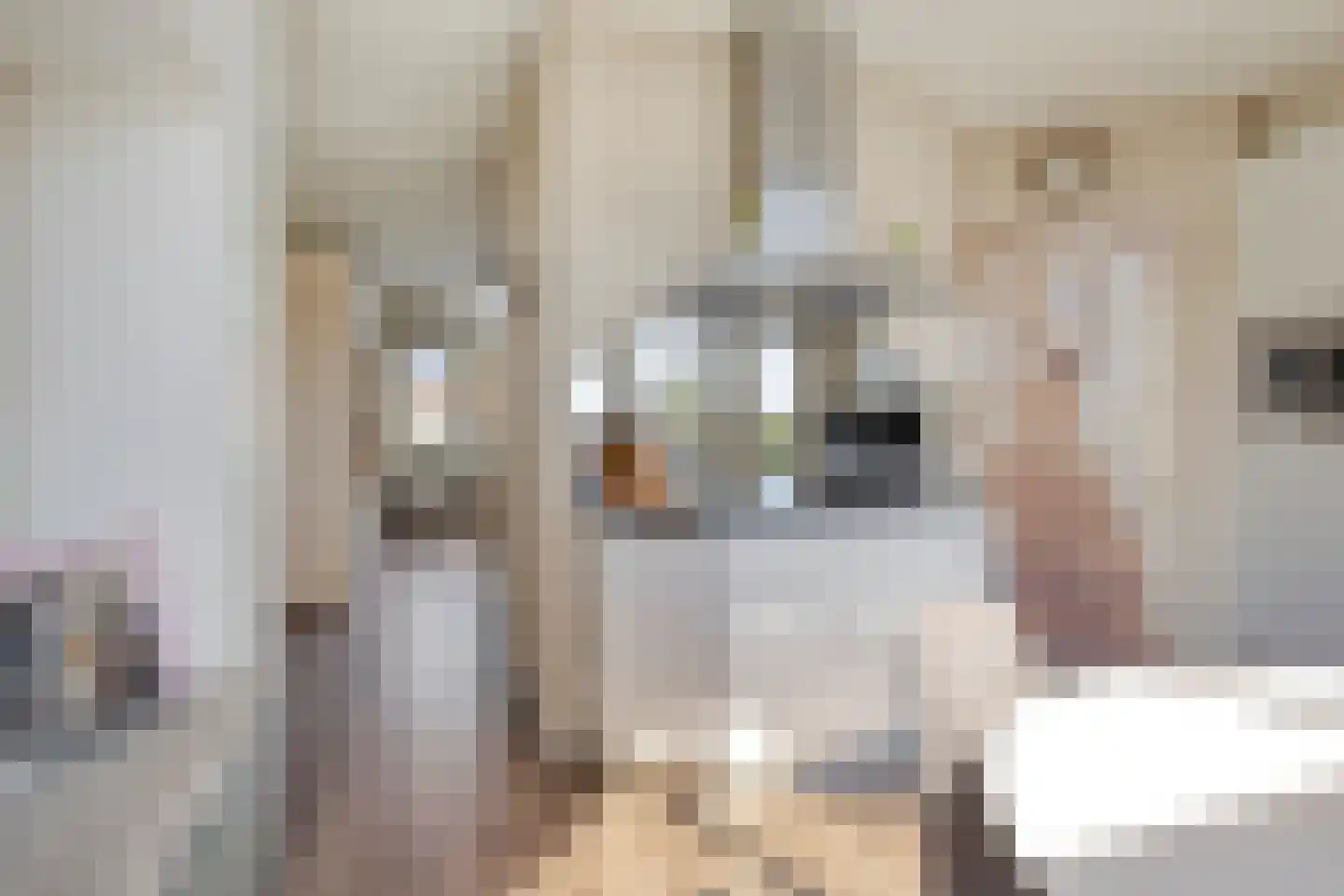Dieklaan 7 Middelharnis thumbnail 25