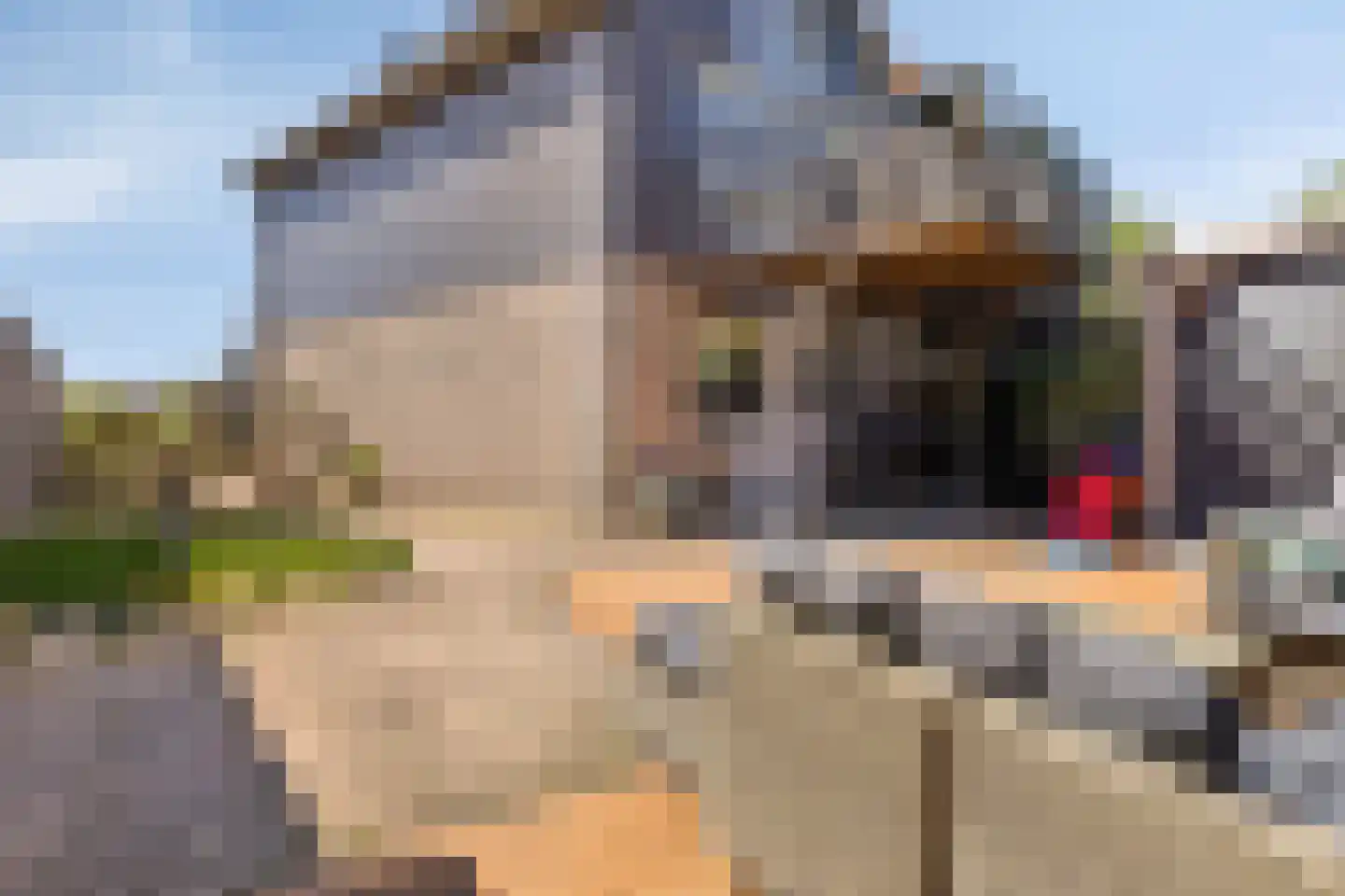Dieklaan 7 Middelharnis thumbnail 32