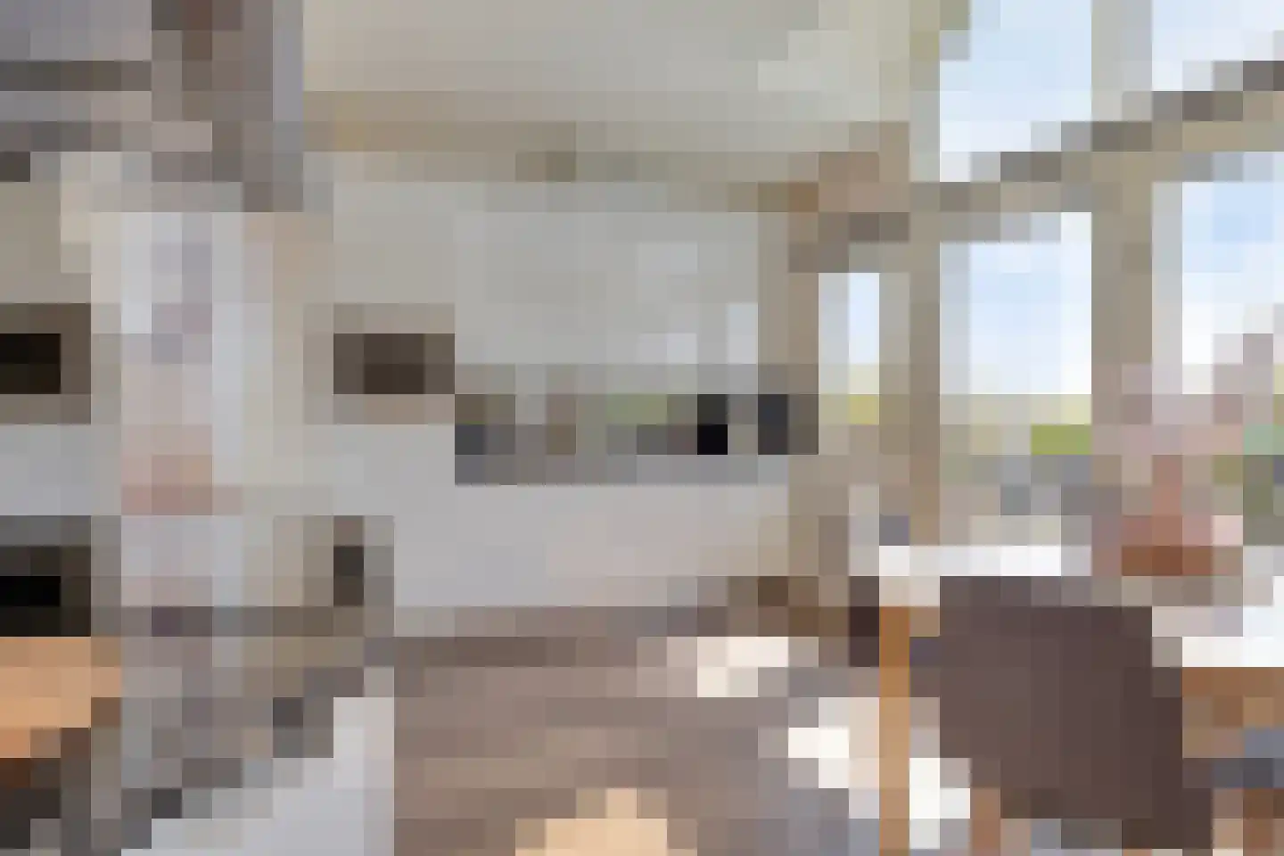 Dieklaan 7 Middelharnis thumbnail 4