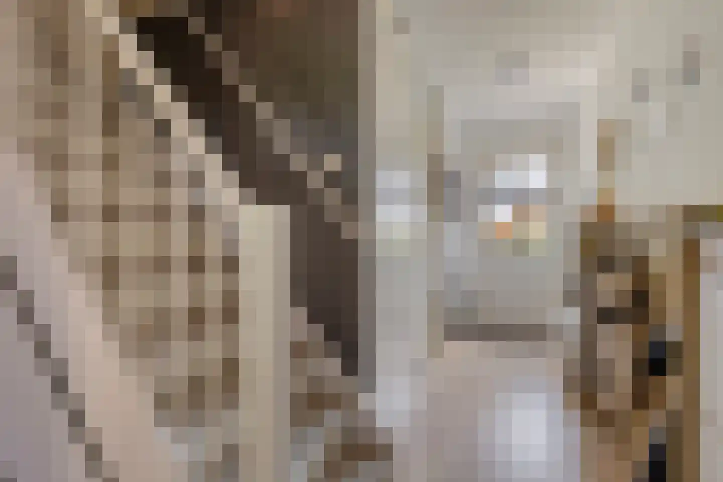 Dieklaan 7 Middelharnis thumbnail 9