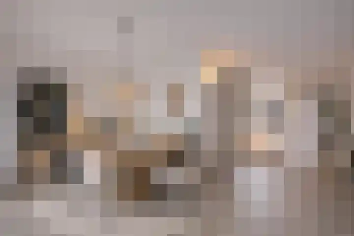 Diekmansweide 56 's-Heerenberg thumbnail 5