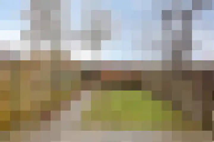 Diekmansweide 56 's-Heerenberg thumbnail 8