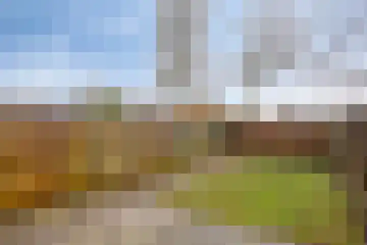 Diekmansweide 56 's-Heerenberg thumbnail 9