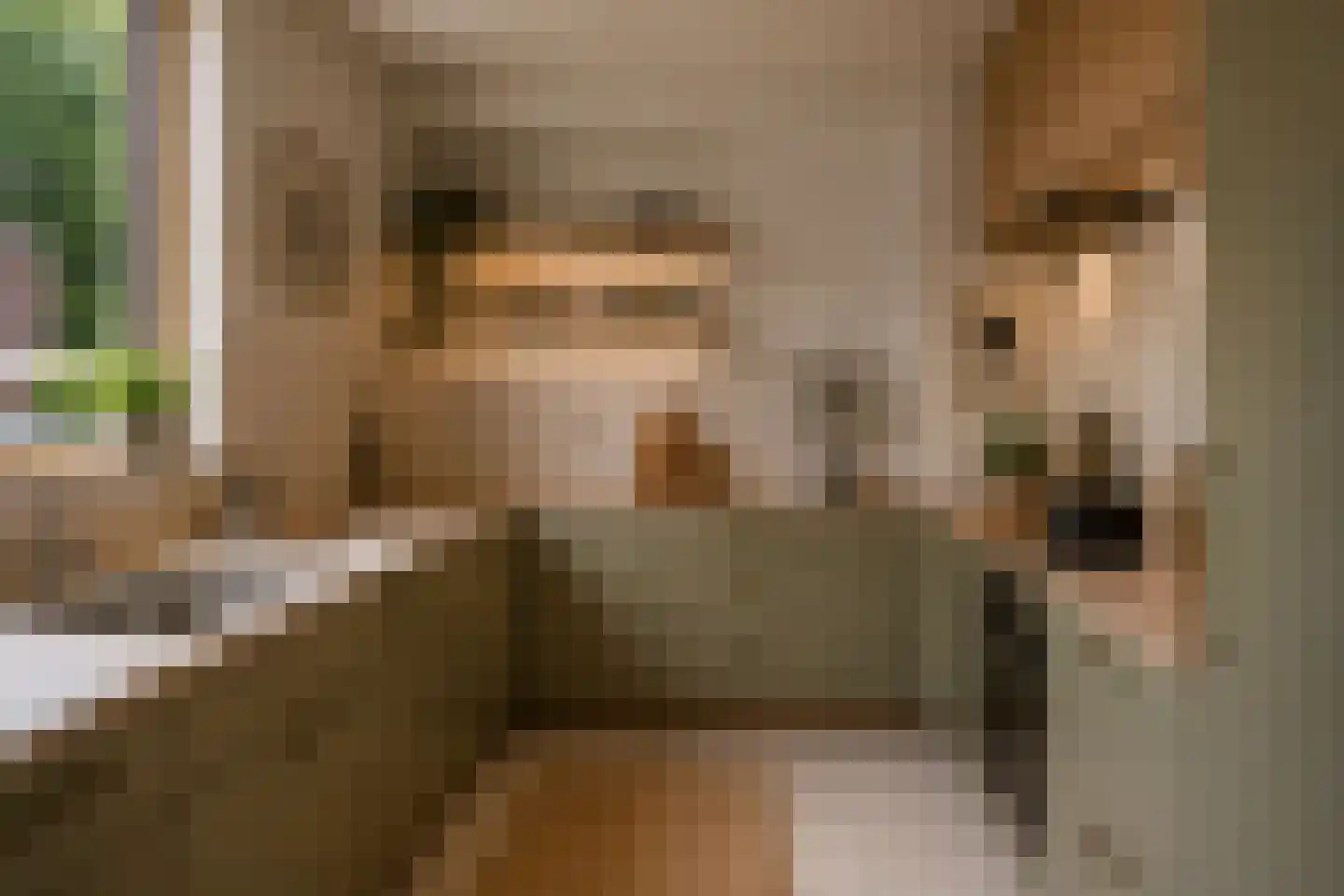 Diekmansweide 66 's-Heerenberg thumbnail 10