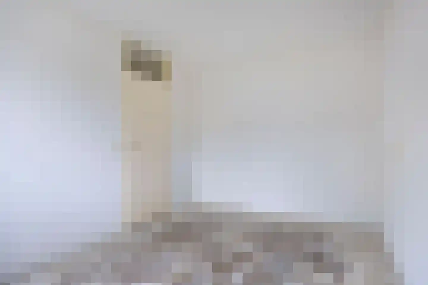 Diekmansweide 66 's-Heerenberg thumbnail 19