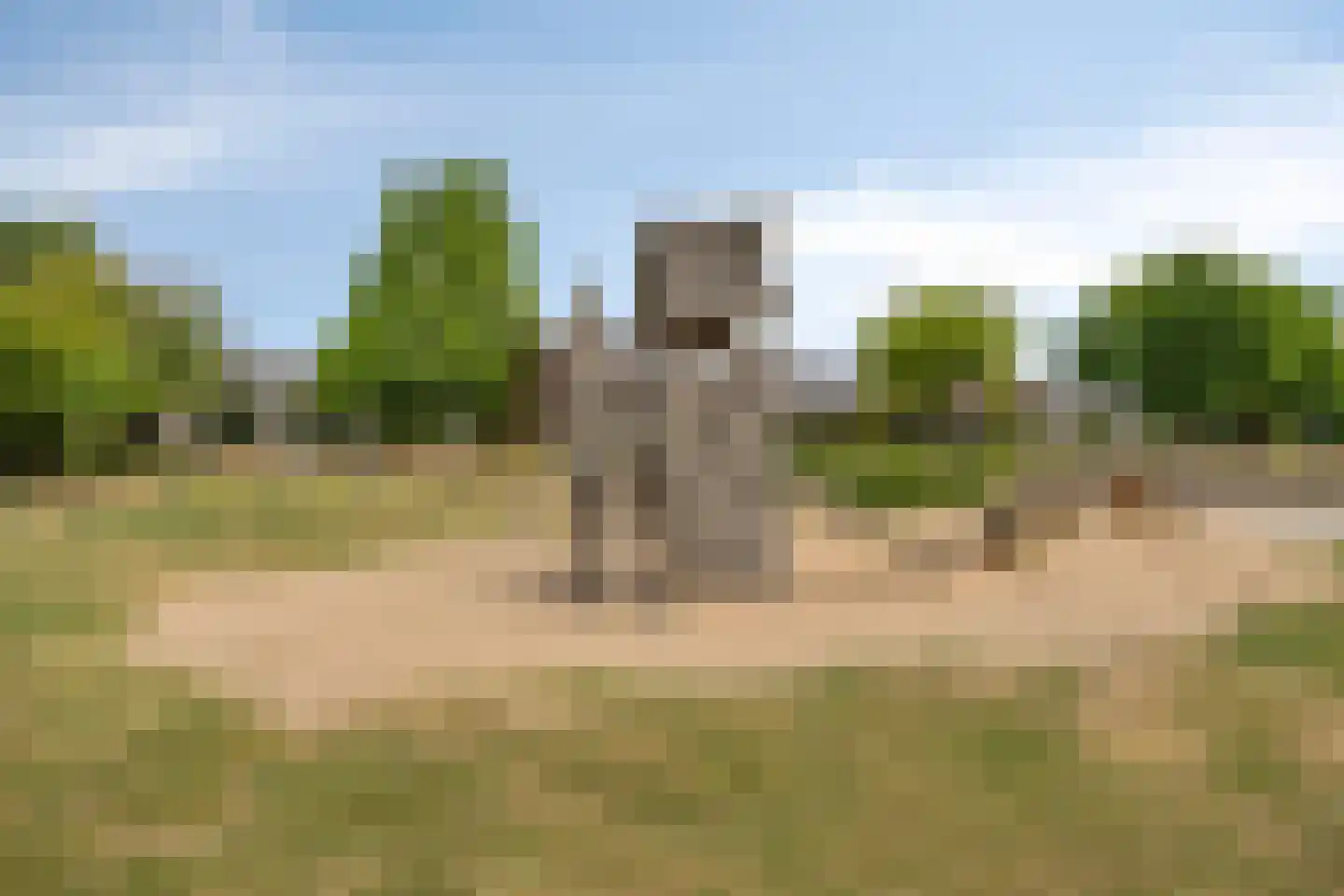 Diekmansweide 66 's-Heerenberg thumbnail 27