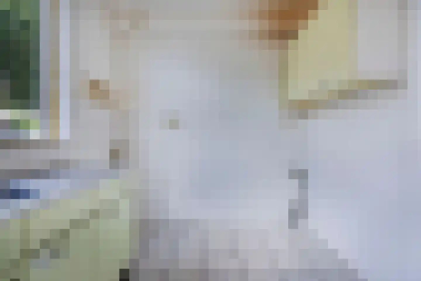 Diekmansweide 66 's-Heerenberg thumbnail 9