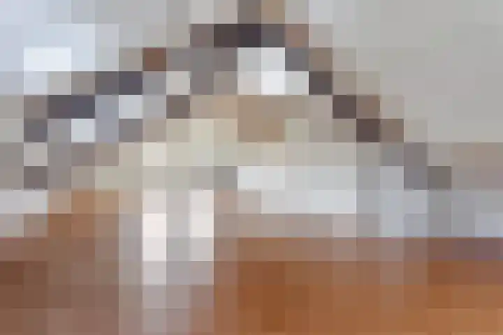 Diekmanweg 2 Denekamp thumbnail 19