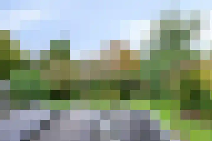 Diekmanweg 24 Denekamp thumbnail 29