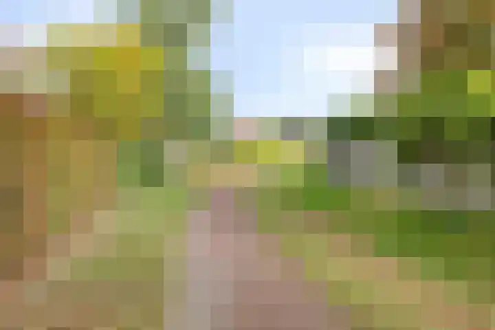 Diekmanweg 24 Denekamp thumbnail 45