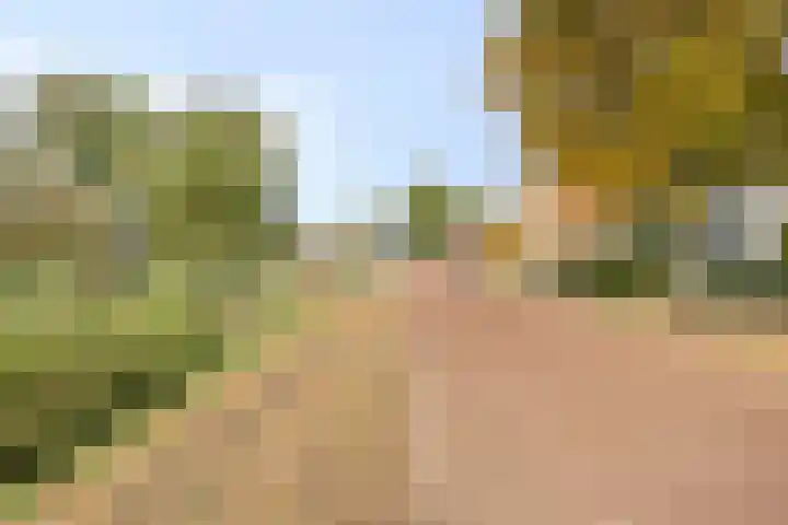 Diekmanweg 24 Denekamp thumbnail 46