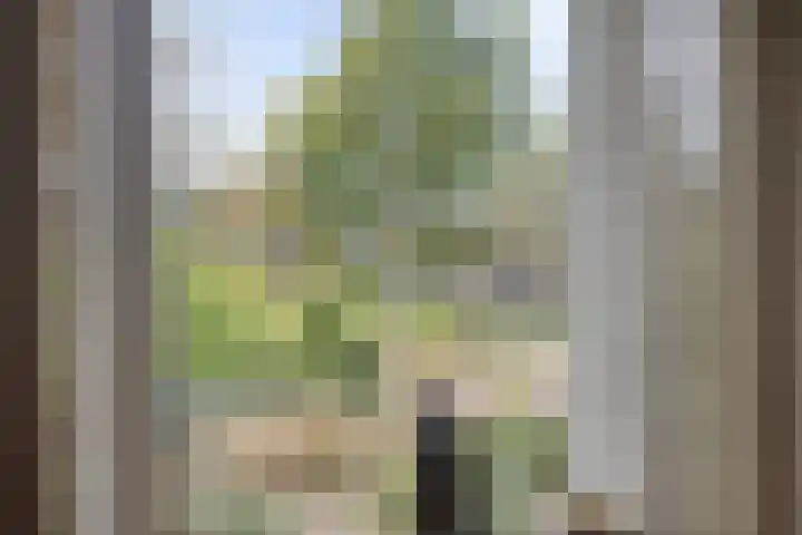 Diekmanweg 24 Denekamp thumbnail 5