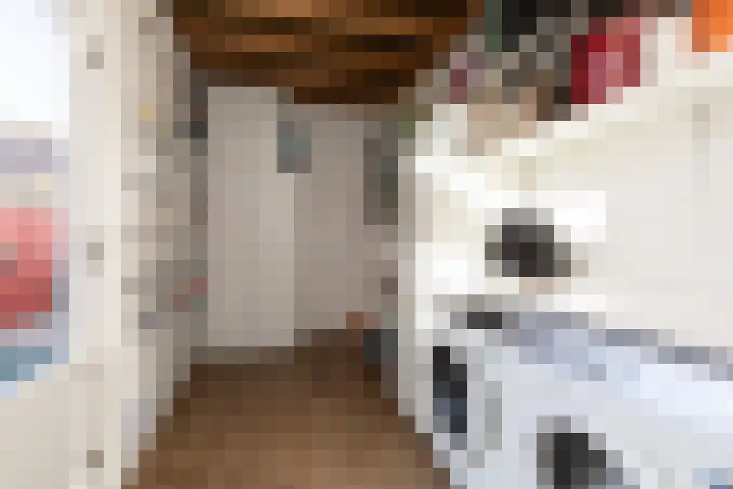 Dielakker 4 Scharnegoutum thumbnail 10