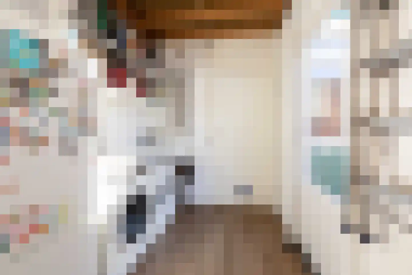 Dielakker 4 Scharnegoutum thumbnail 11