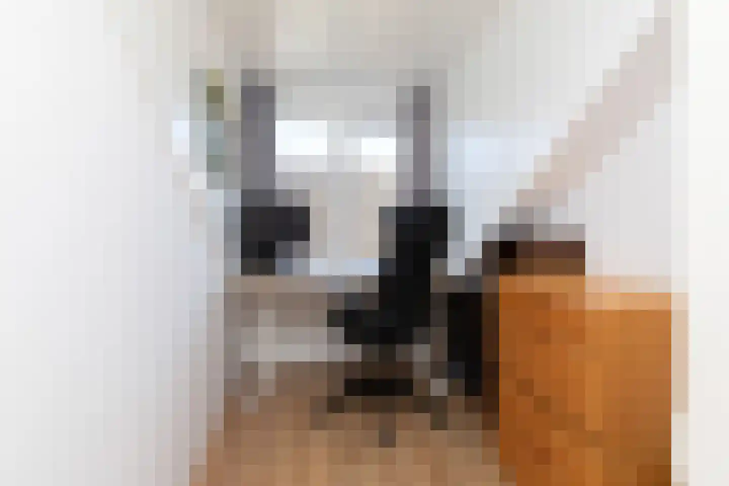 Dielakker 4 Scharnegoutum thumbnail 18
