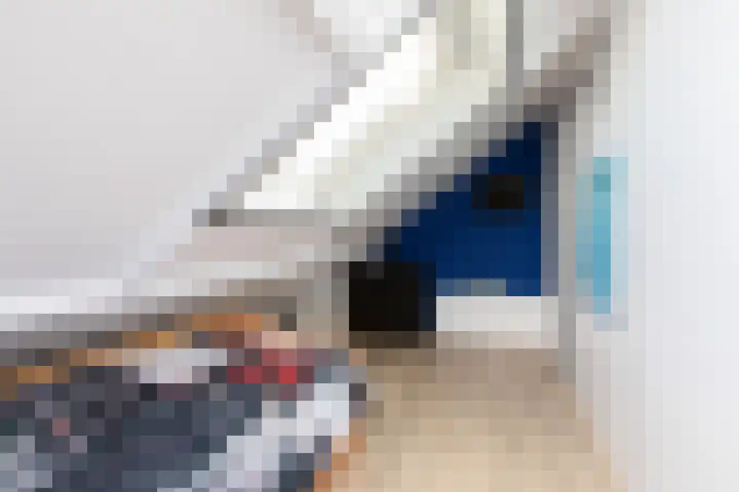 Dielakker 4 Scharnegoutum thumbnail 25
