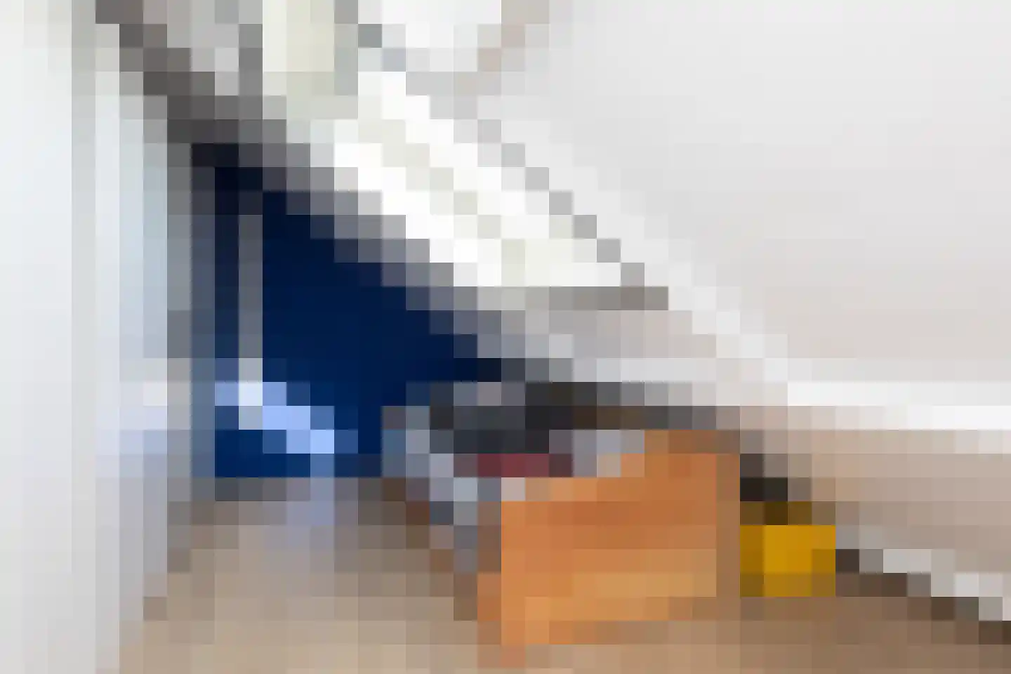 Dielakker 4 Scharnegoutum thumbnail 26