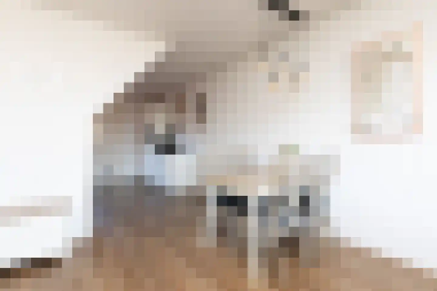 Dielakker 4 Scharnegoutum thumbnail 7
