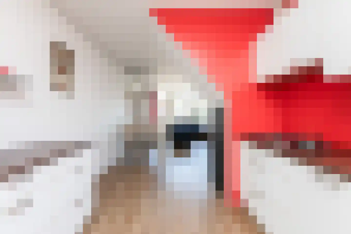 Dielakker 4 Scharnegoutum thumbnail 8
