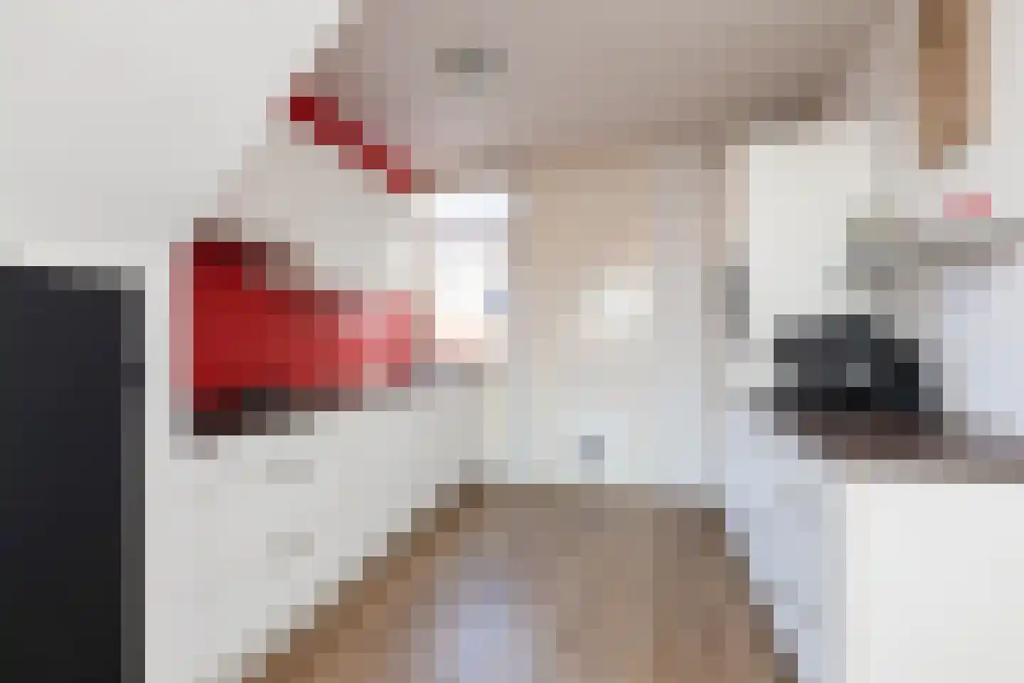 Dielakker 4 Scharnegoutum thumbnail 9