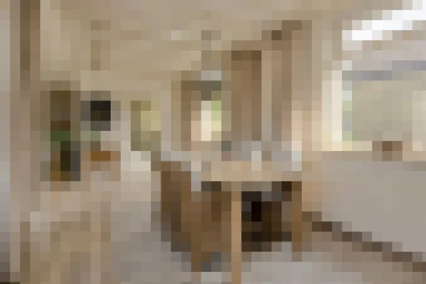 Dielishoek 1 Bavel thumbnail 17