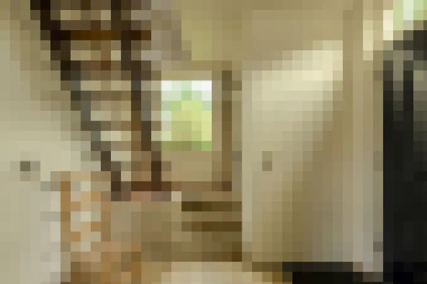 Dielishoek 1 Bavel thumbnail 19