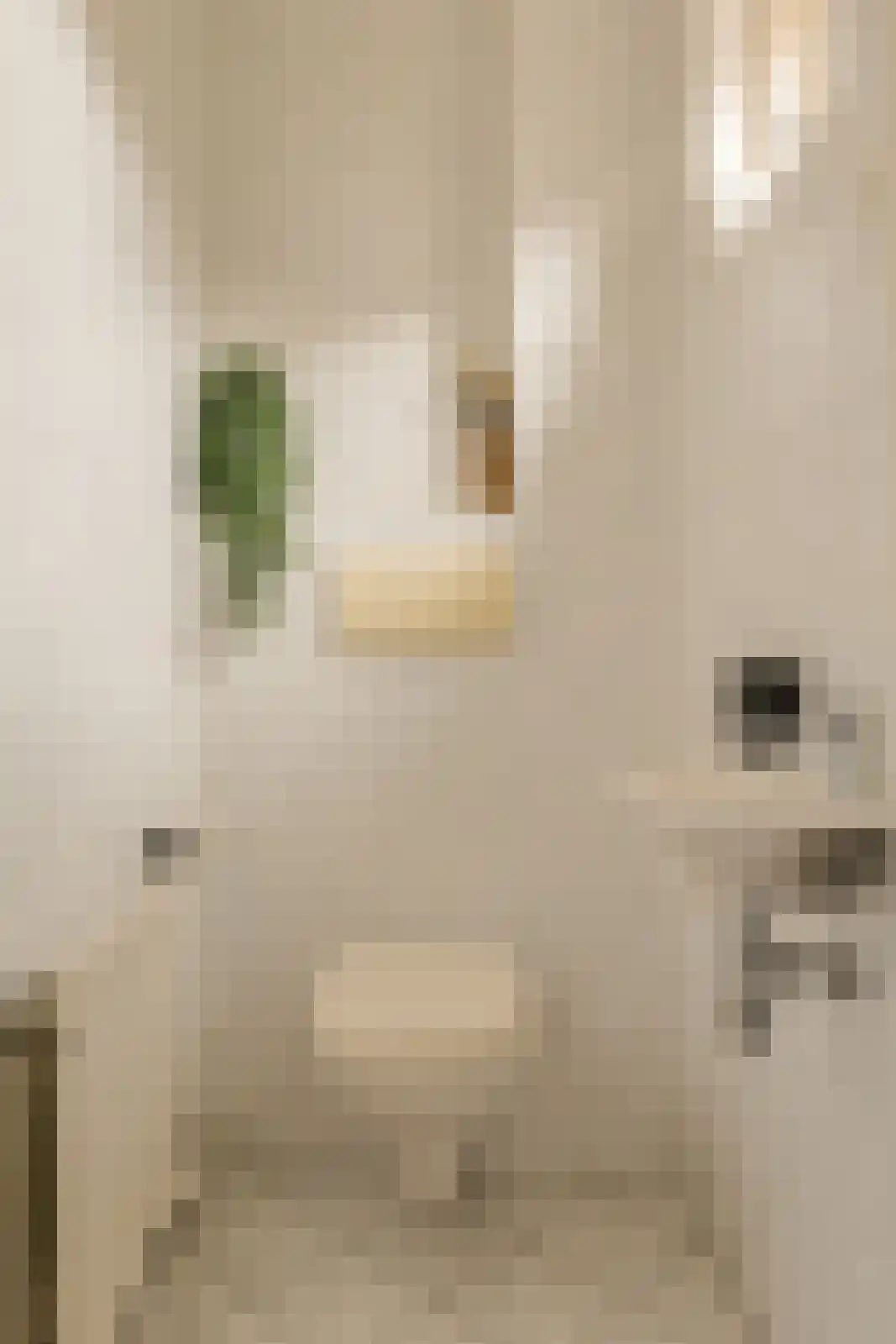 Dielishoek 1 Bavel thumbnail 20