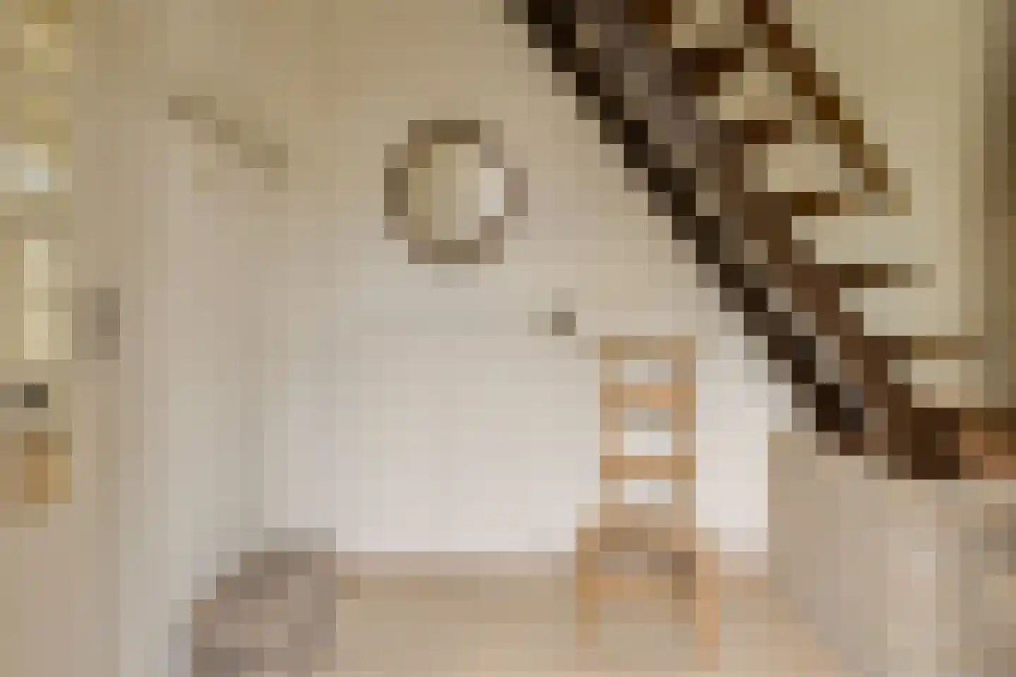 Dielishoek 1 Bavel thumbnail 21