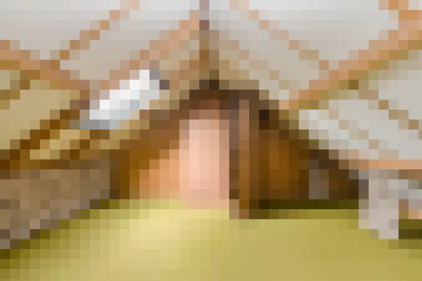 Dielishoek 1 Bavel thumbnail 34