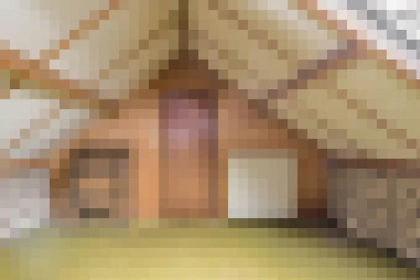 Dielishoek 1 Bavel thumbnail 36