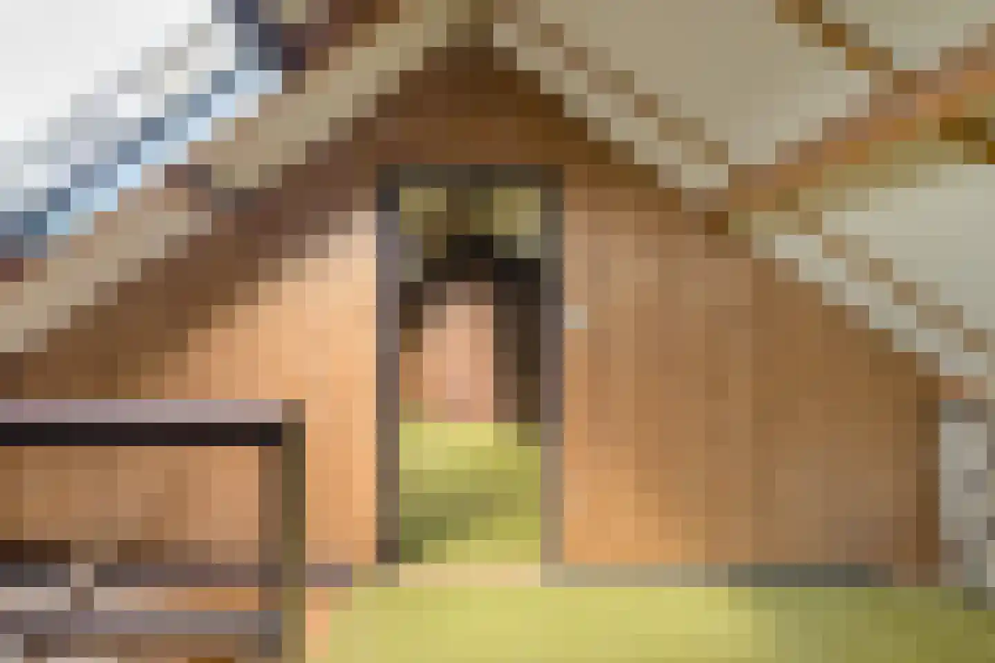 Dielishoek 1 Bavel thumbnail 38