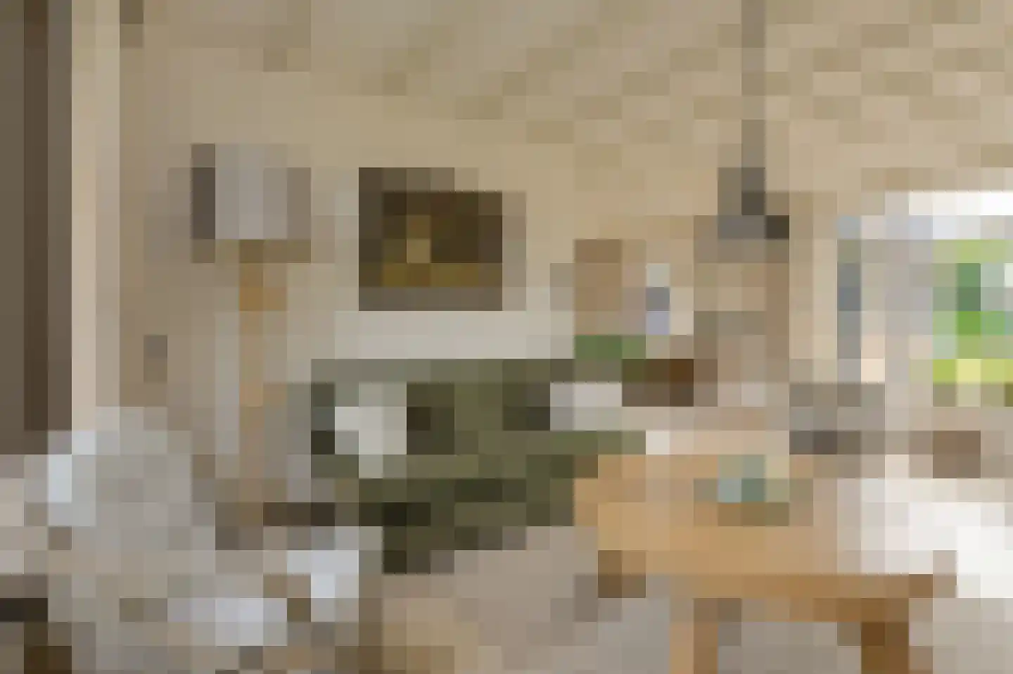 Dielishoek 1 Bavel thumbnail 4