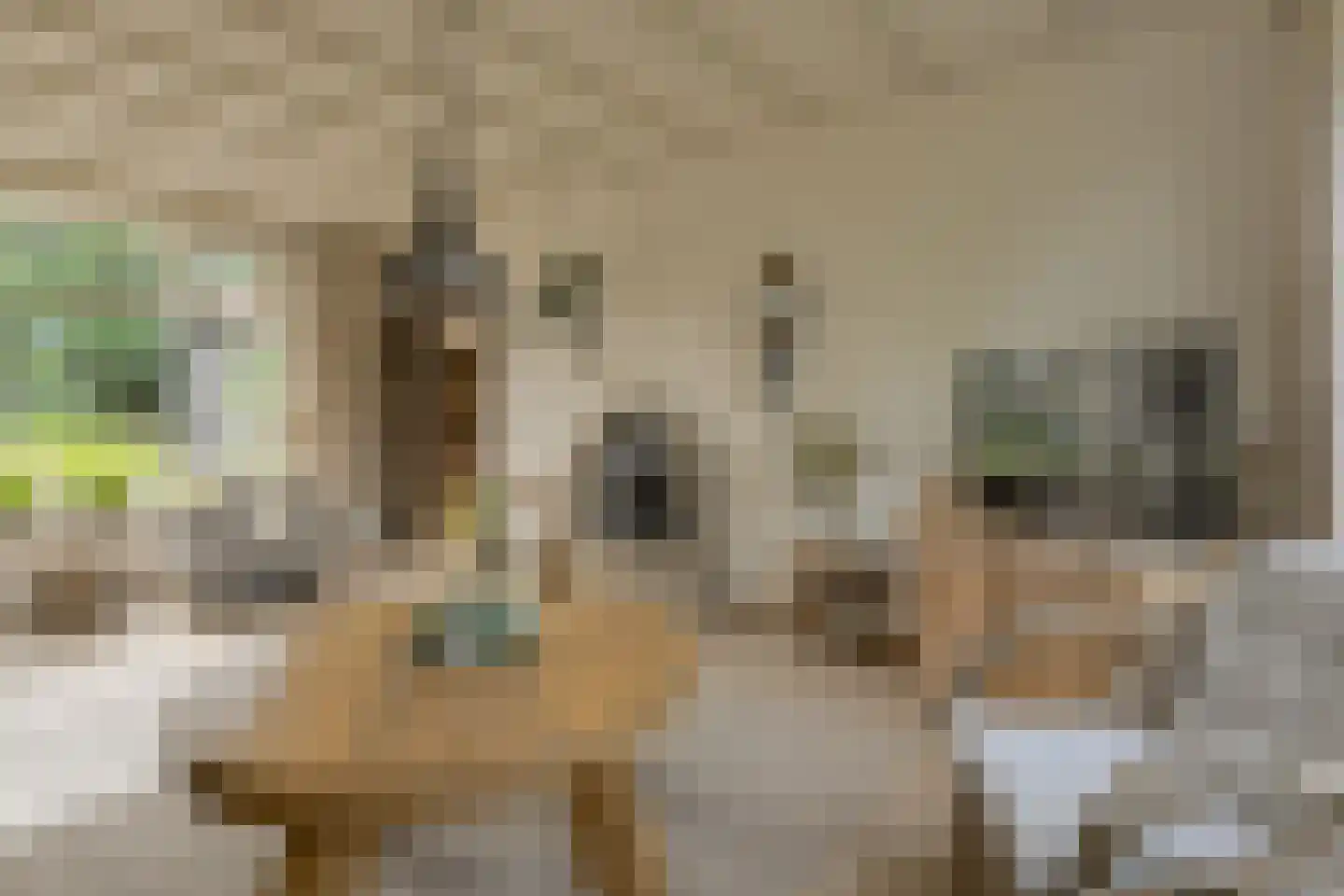 Dielishoek 1 Bavel thumbnail 5