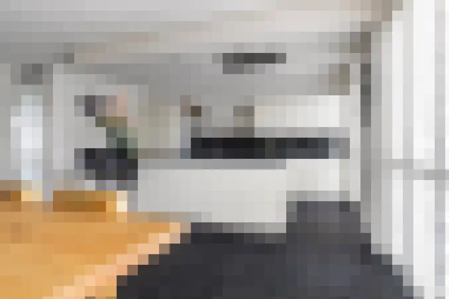 Dielsfinne 23 Leeuwarden thumbnail 15