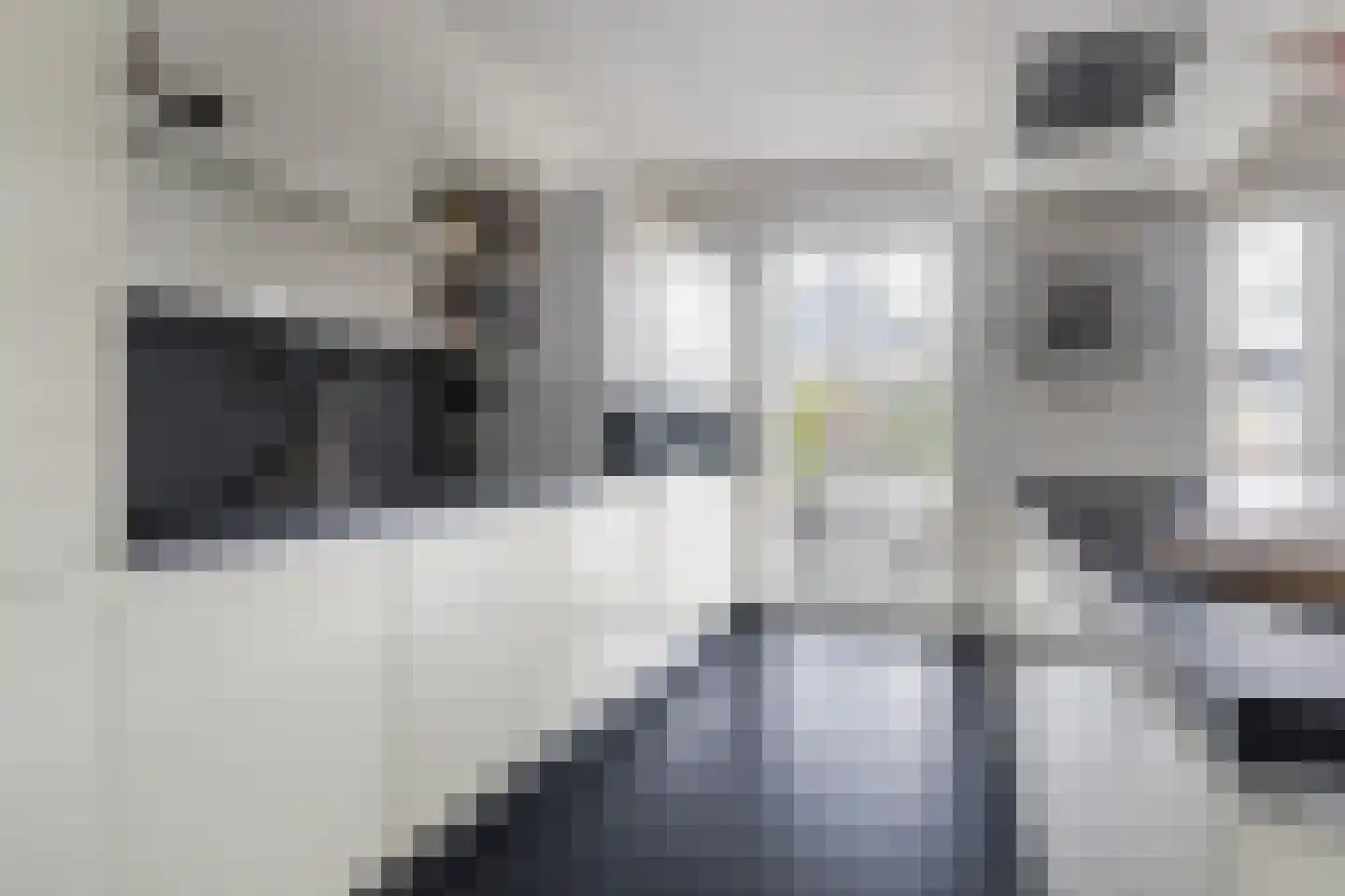 Dielsfinne 23 Leeuwarden thumbnail 17