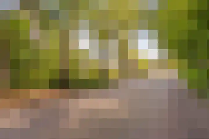 Diemenlaan 52 Emmeloord thumbnail 10