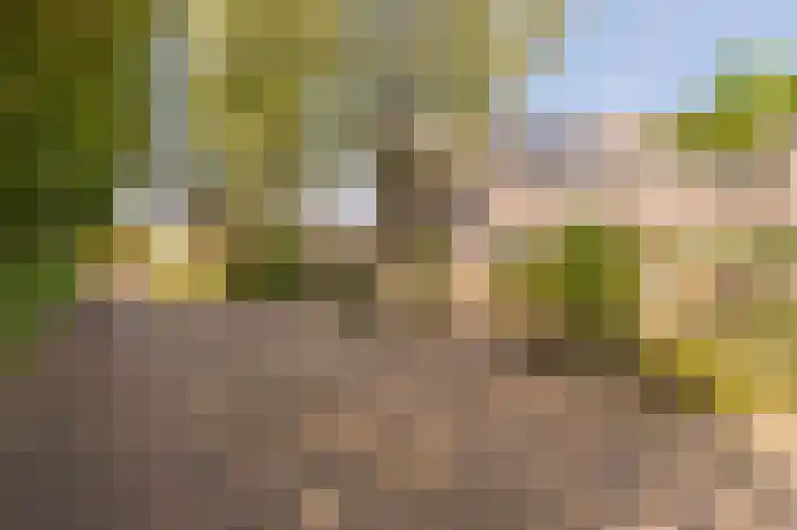 Diemenlaan 52 Emmeloord thumbnail 11