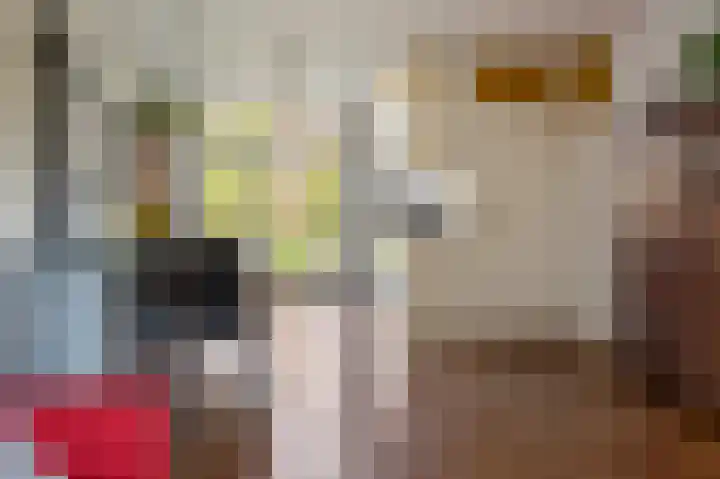 Diemenlaan 52 Emmeloord thumbnail 20
